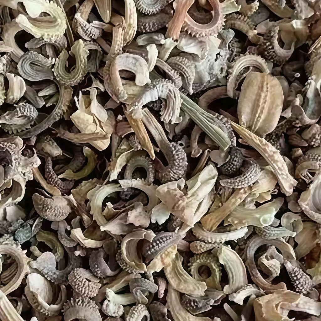 金盏菊5