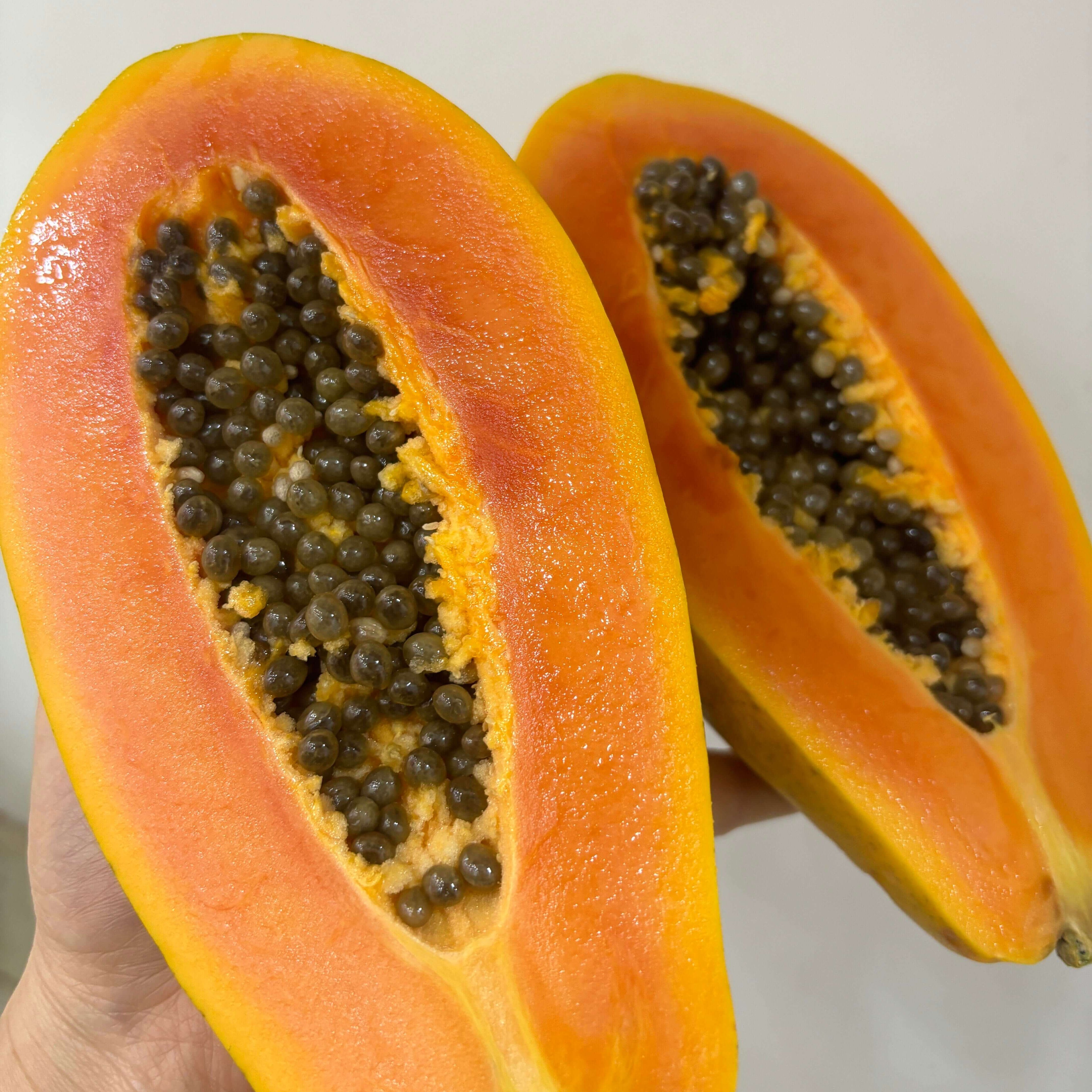 Papaya Seeds for Planting – 36 Seeds