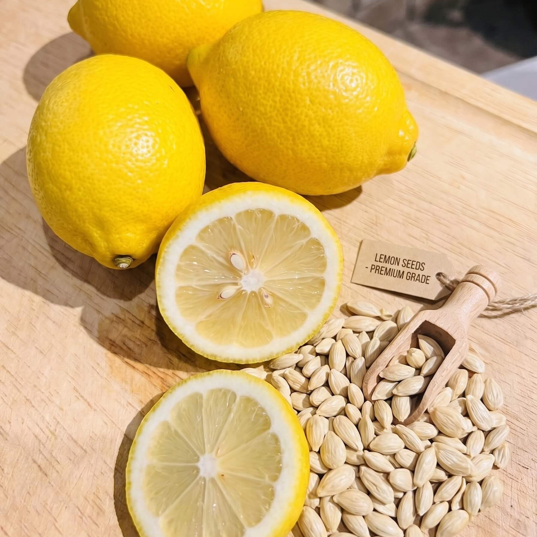 Lemon Seeds for Planting – 32 Seeds
