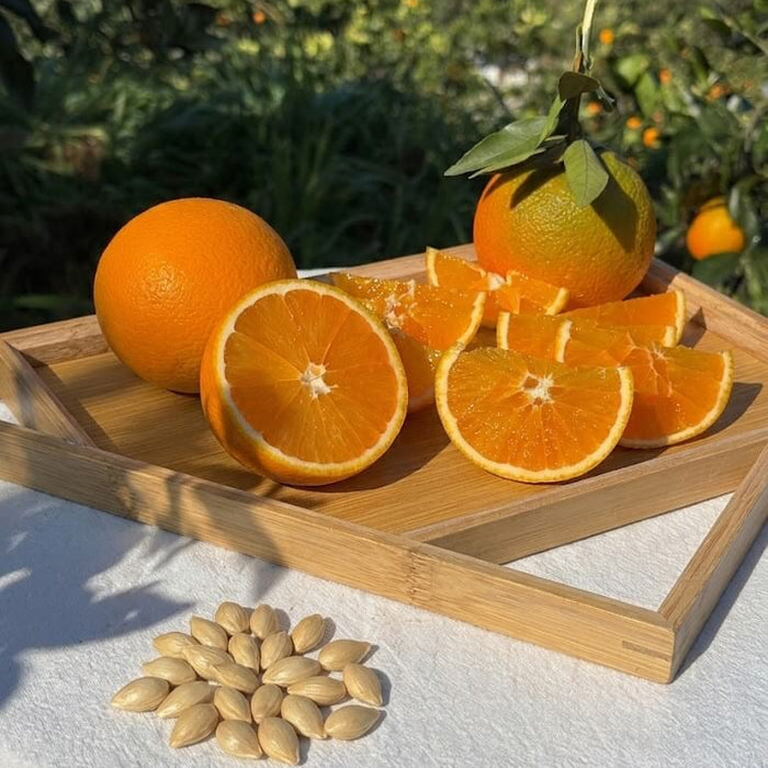 Orange Seeds for Planting – 35 Seeds