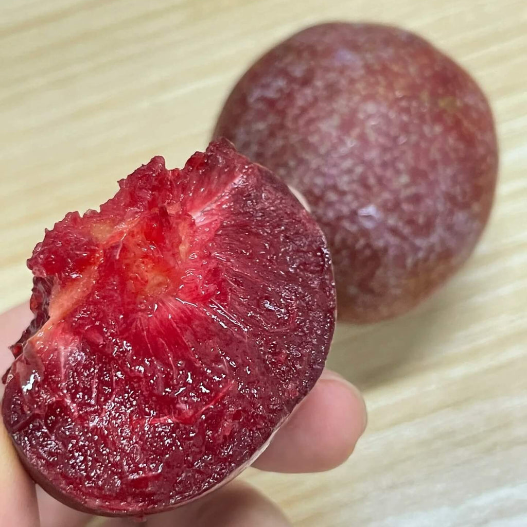 Plum Seeds for Planting – 10 Seeds