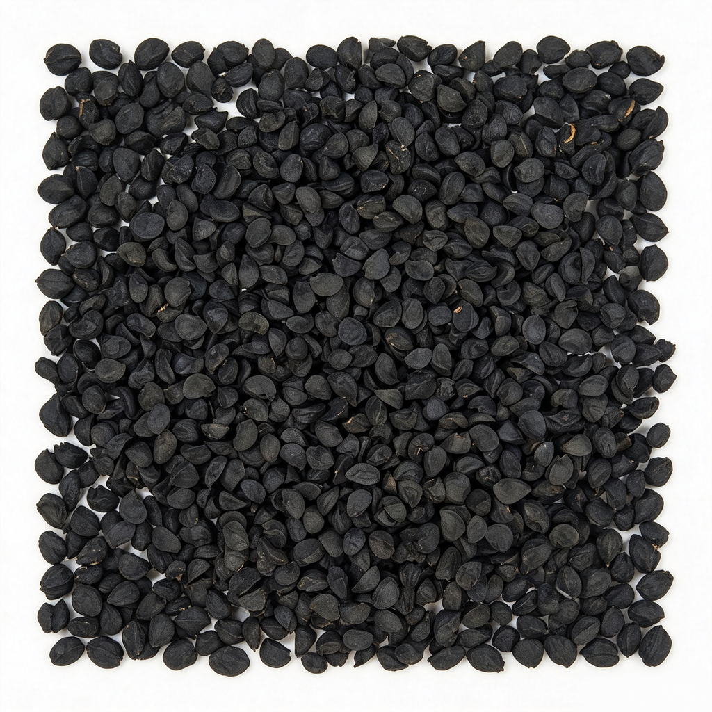T-448 (F1) Onion Seeds