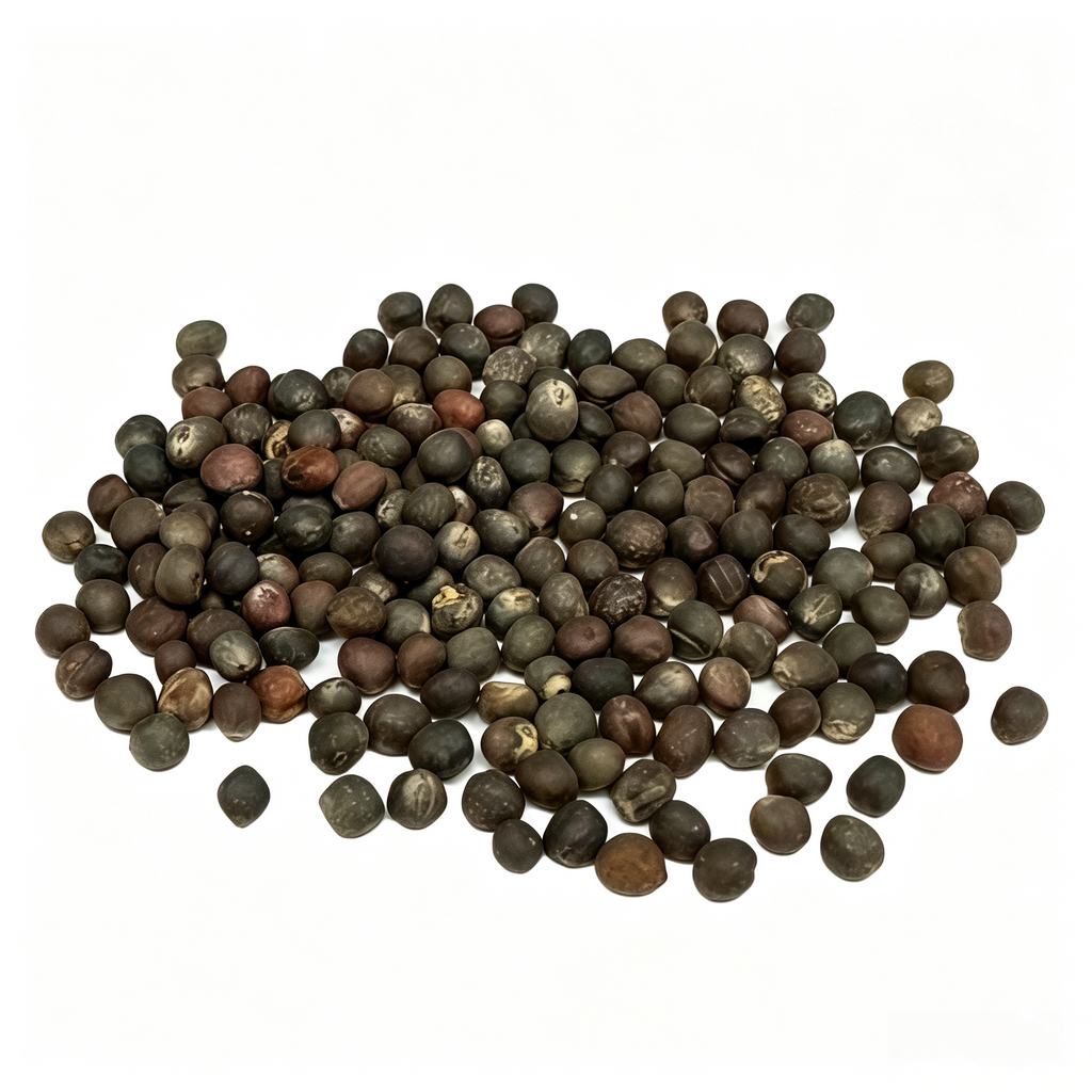 Silvia Organic (F1) Brussels Sprout Seeds - 174 Seeds