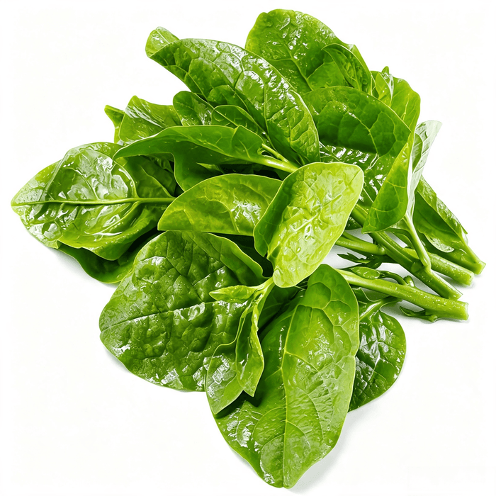 Malabar spinach Seeds - 103 Seeds