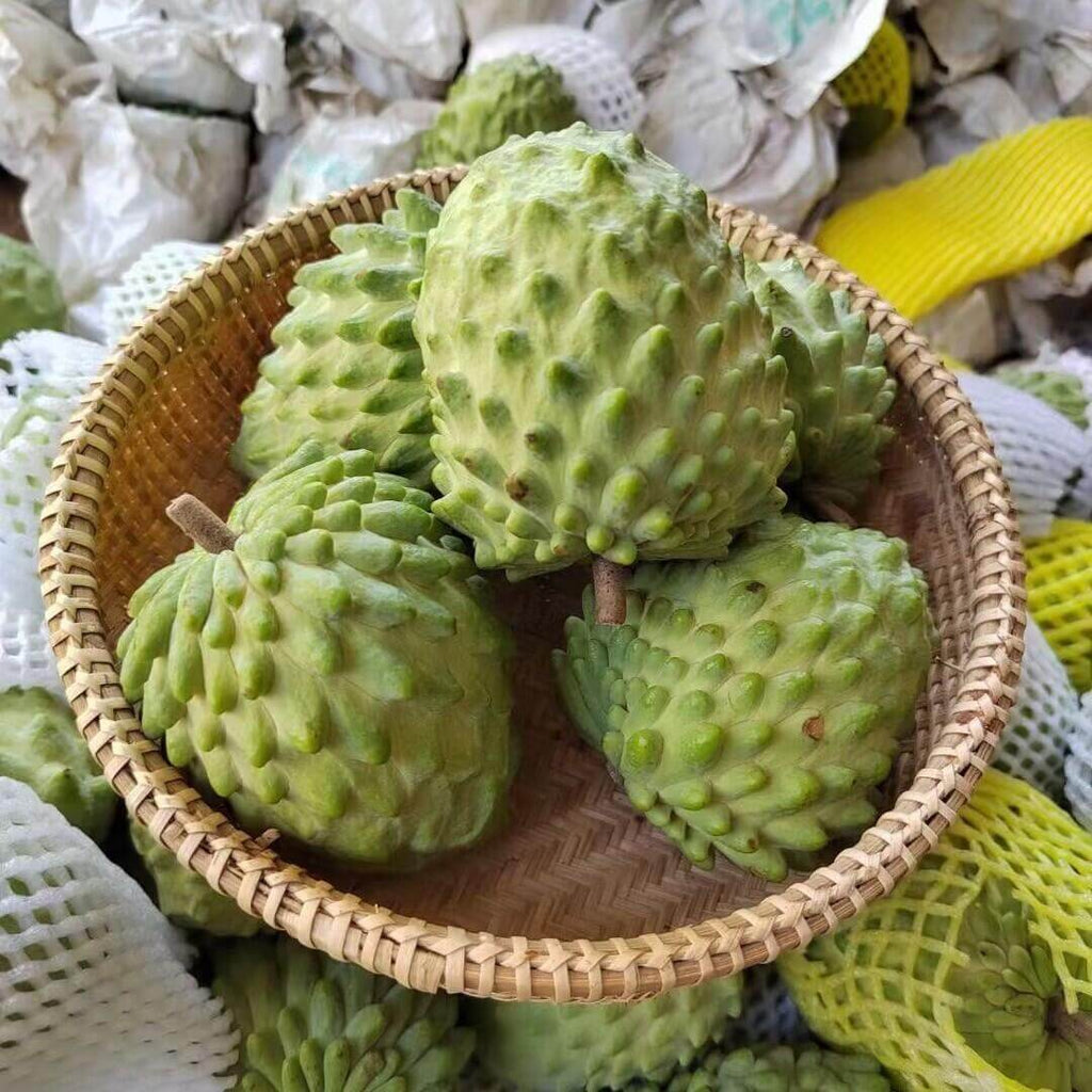 Sweet Custard Apple Seeds for Planting – 10 Seeds