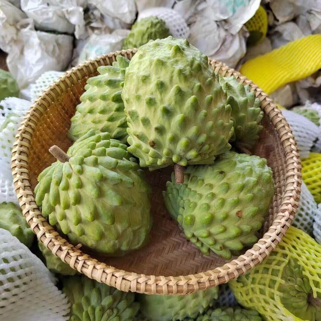 Sweet Custard Apple Seeds for Planting – 10 Seeds
