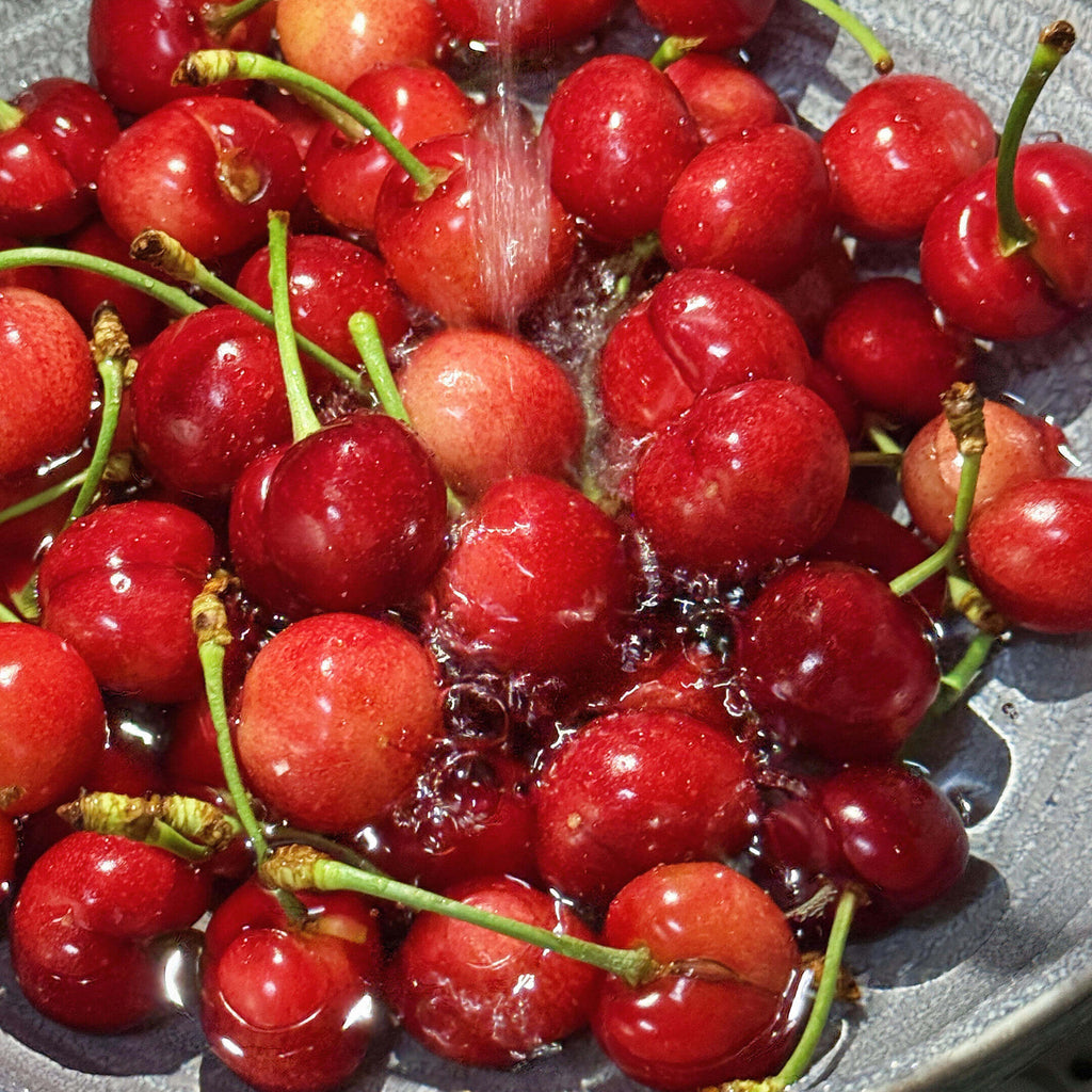 Cherry Seeds for Planting – 10 Seeds