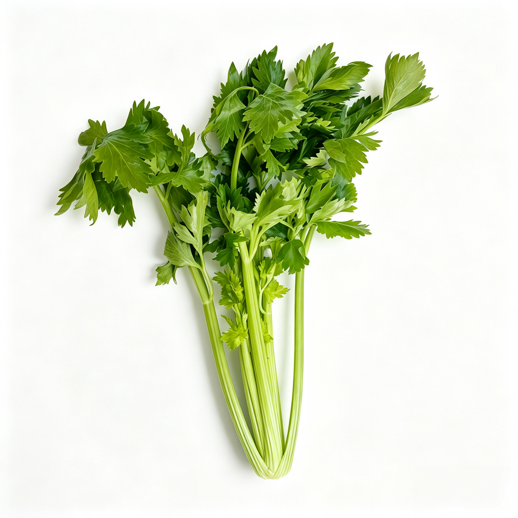 Tango Organic Pelleted Celery Seeds