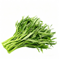 Water spinach Seeds - 103 Seeds