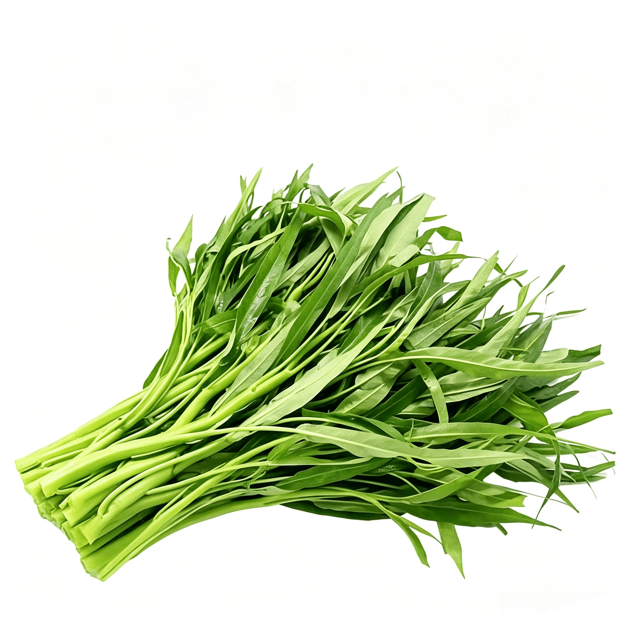 Water spinach Seeds - 103 Seeds