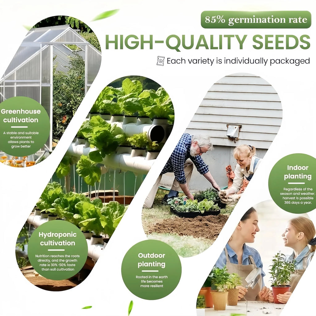 35 Premium Non-GMO Vegetable Seed Pack