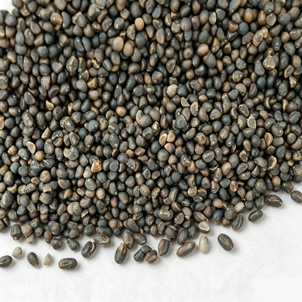 Water spinach Seeds - 103 Seeds