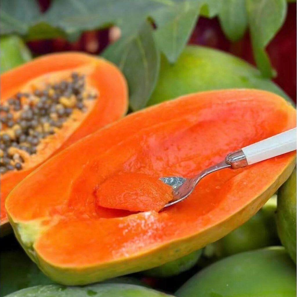 Papaya Seeds for Planting – 36 Seeds