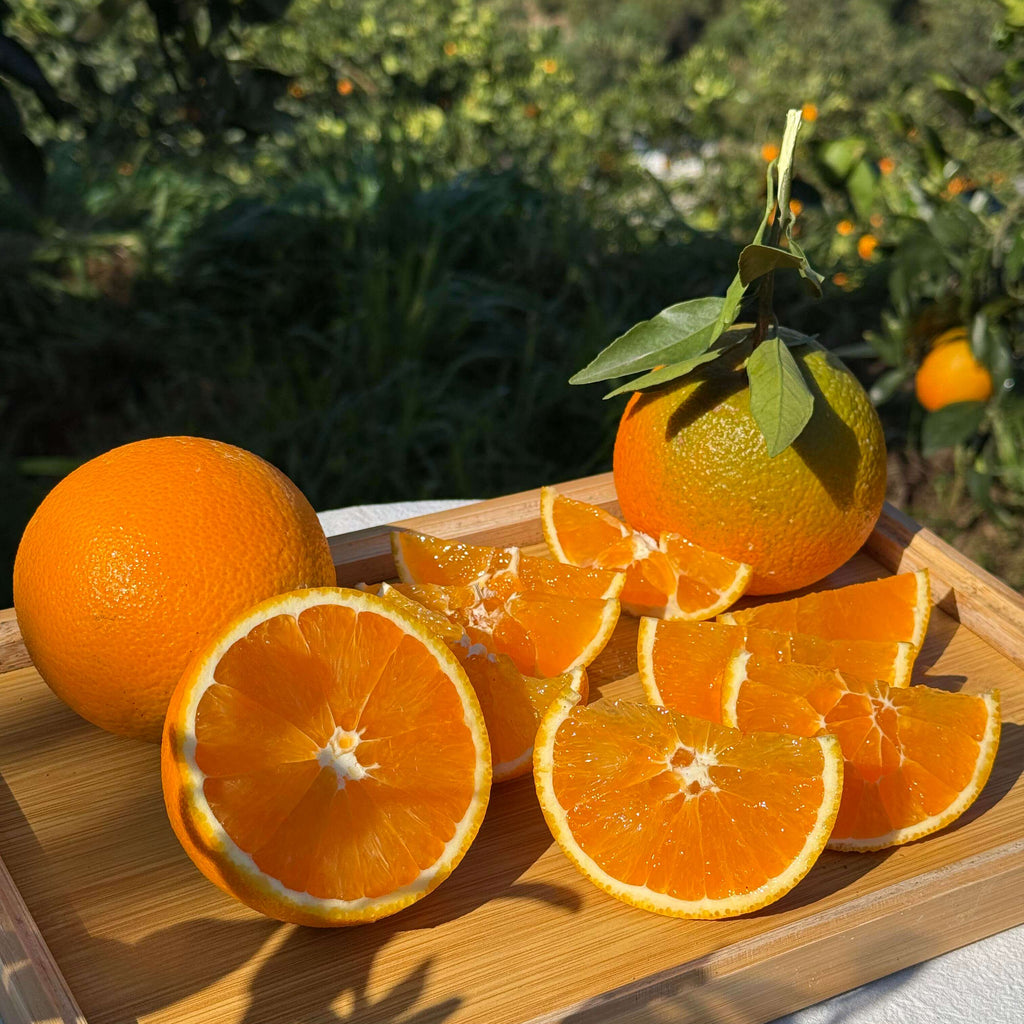 Orange Seeds for Planting – 35 Seeds