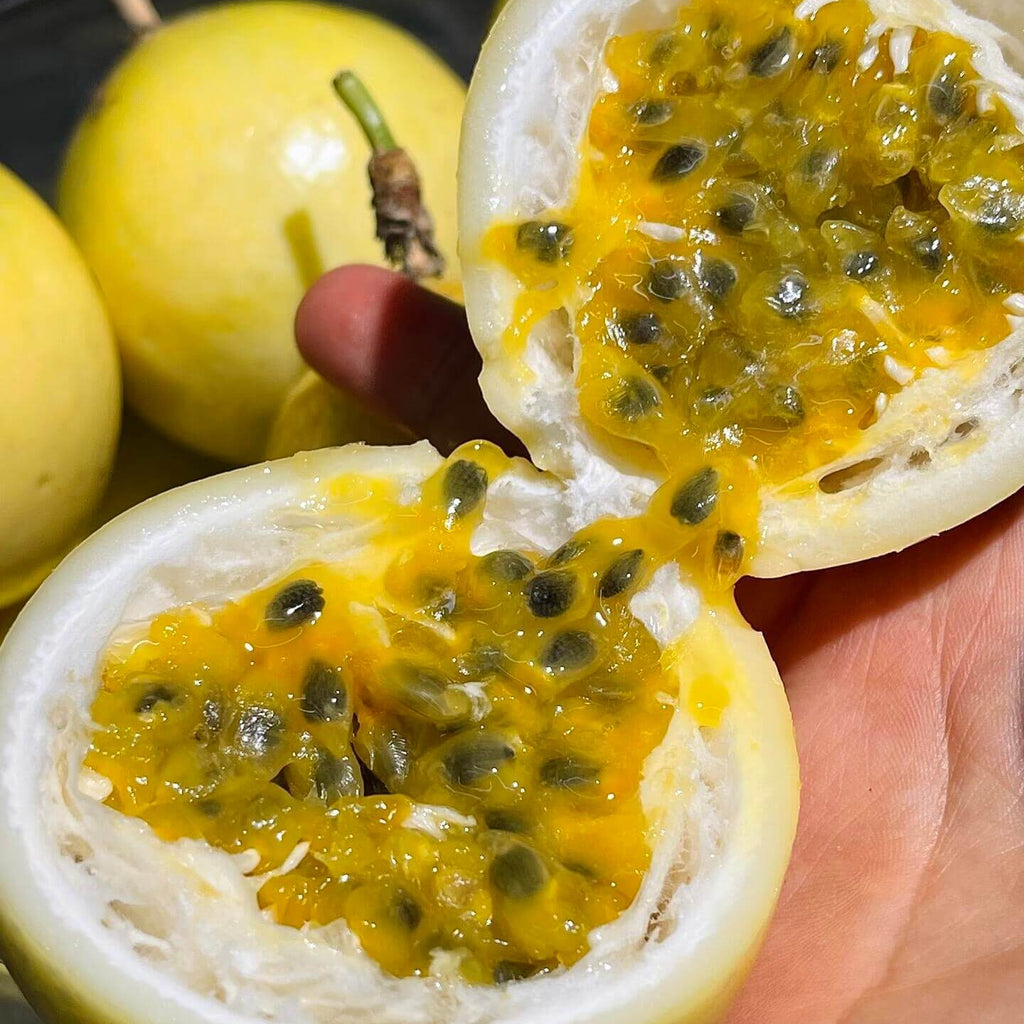 Passion Fruit Seeds for Planting – 57 Seeds