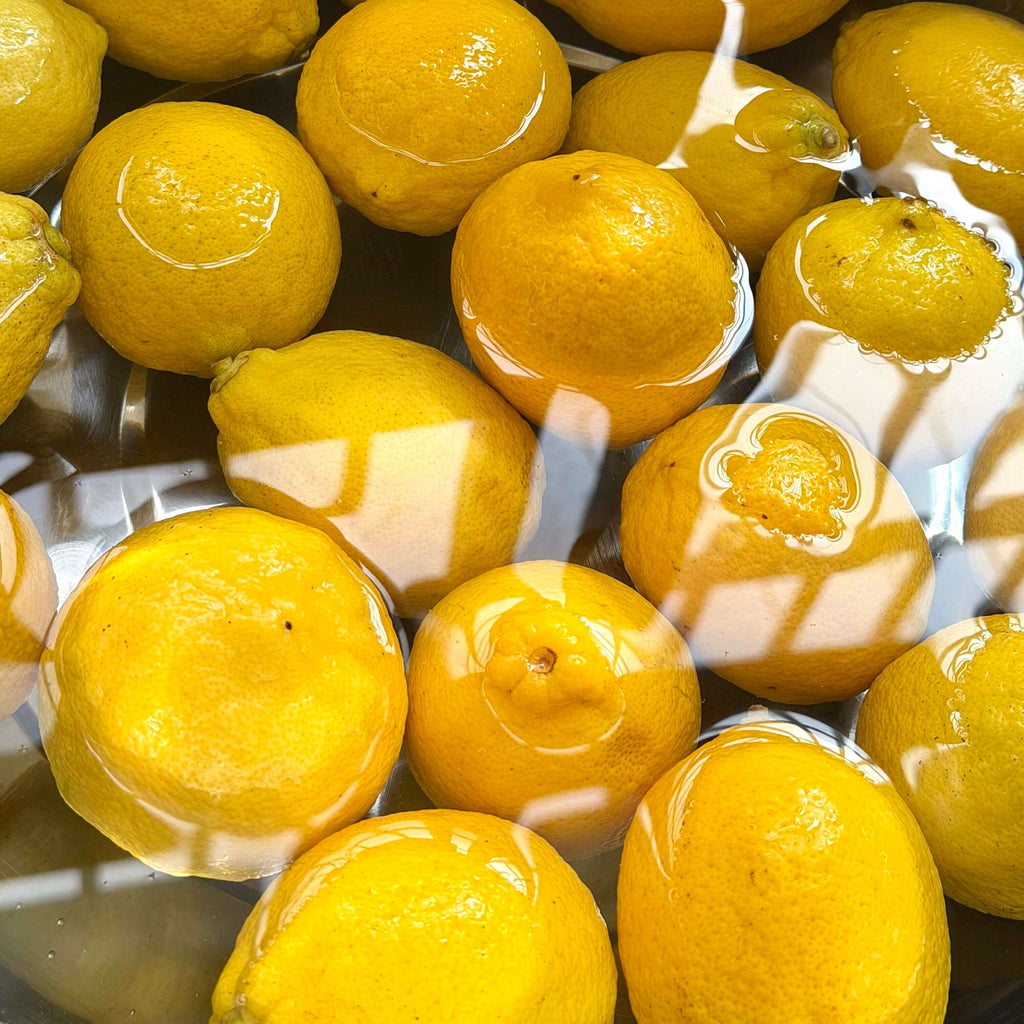 Lemon Seeds for Planting – 32 Seeds