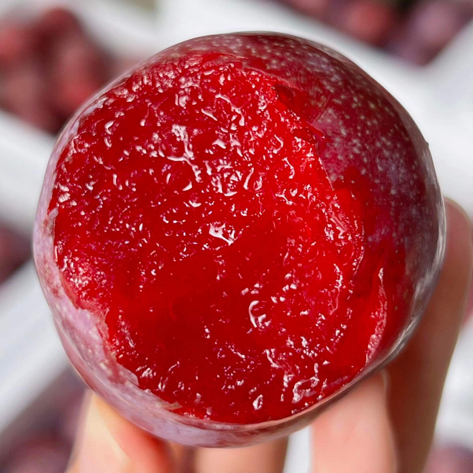 Plum Seeds for Planting – 10 Seeds