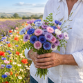 Choice Mix Centaurea Seeds - 100 Seeds (0.015 oz)