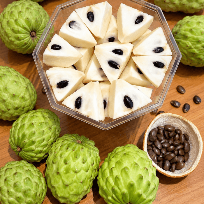 Sweet Custard Apple Seeds for Planting – 10 Seeds