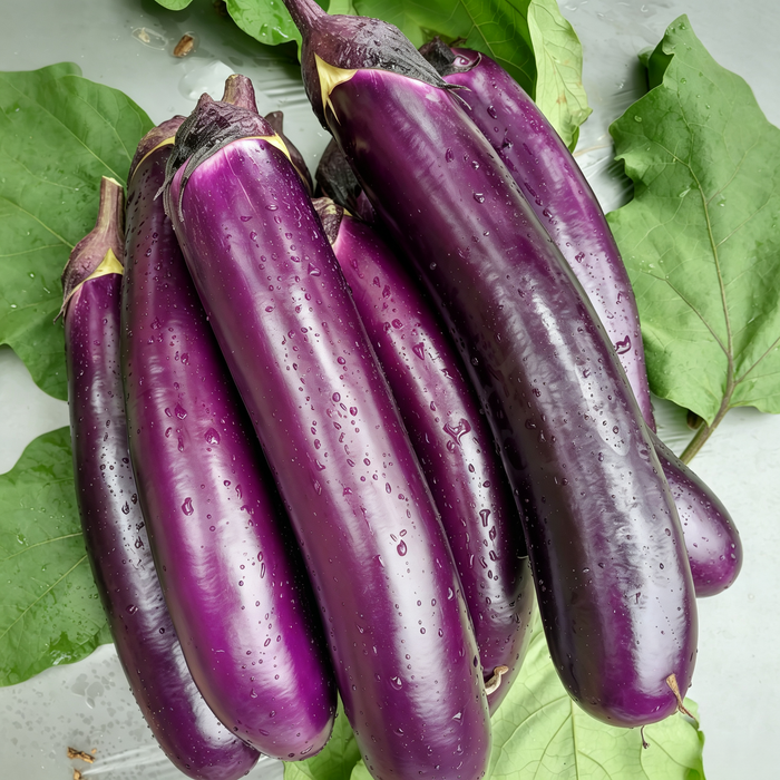 Turkish Delight Organic (F1) Eggplant Seeds - 62 Seeds