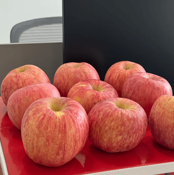 Apple Seeds for Planting – 32 Seeds