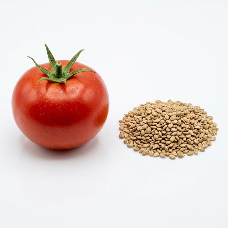 Firebird (F1) Tomato Seeds – 210 Seeds