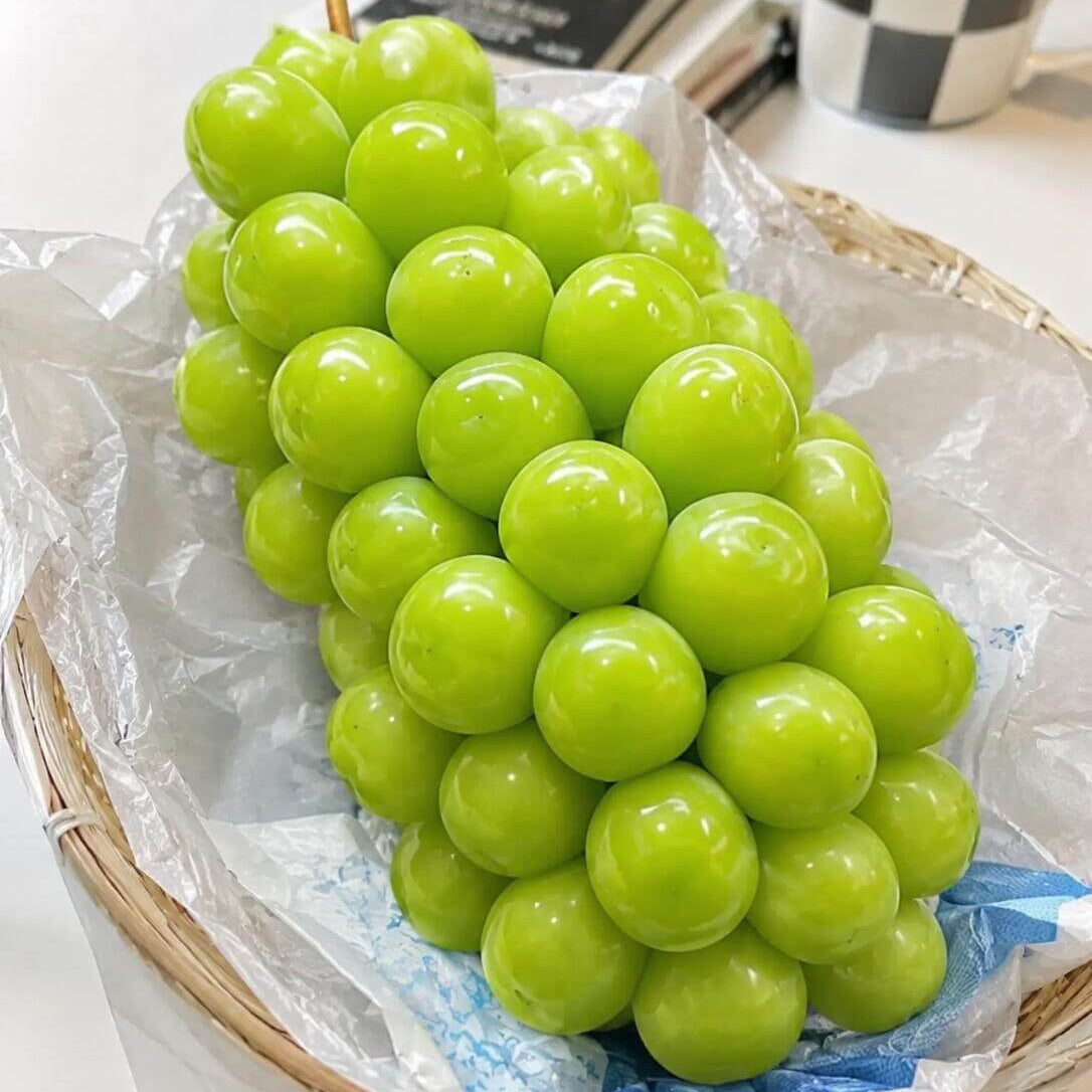 Green Grape Seeds for Planting – 32 Seeds