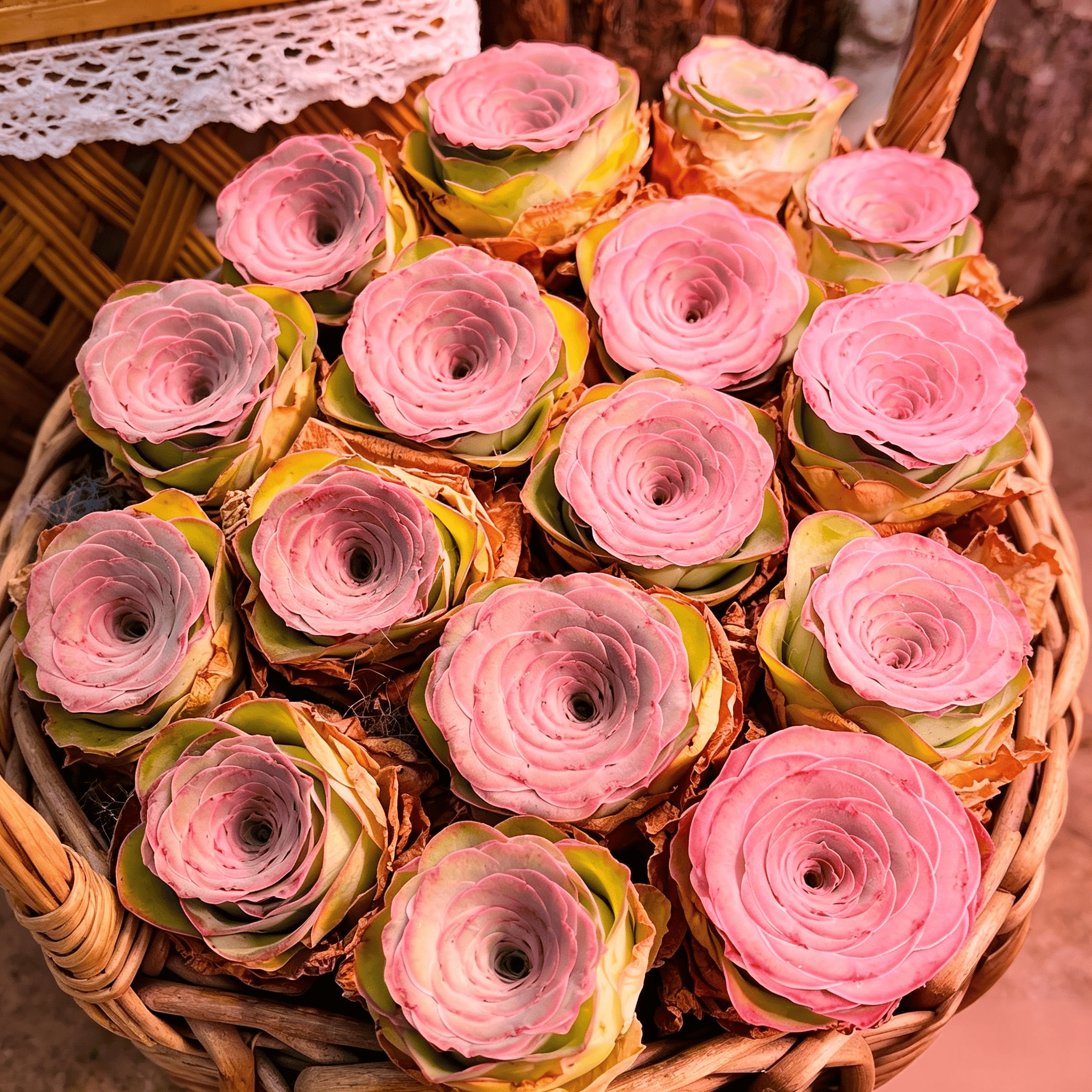 Mountain Rose Seeds - 136 Seeds