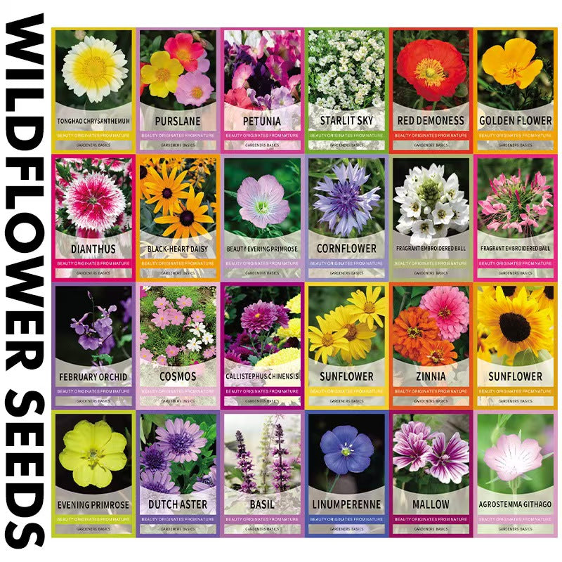 Bring Your Garden to Life: 24-Flower Blend + Surprise Bonus Gift!