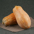 Block Party Organic (F1) Butternut Squash Seeds