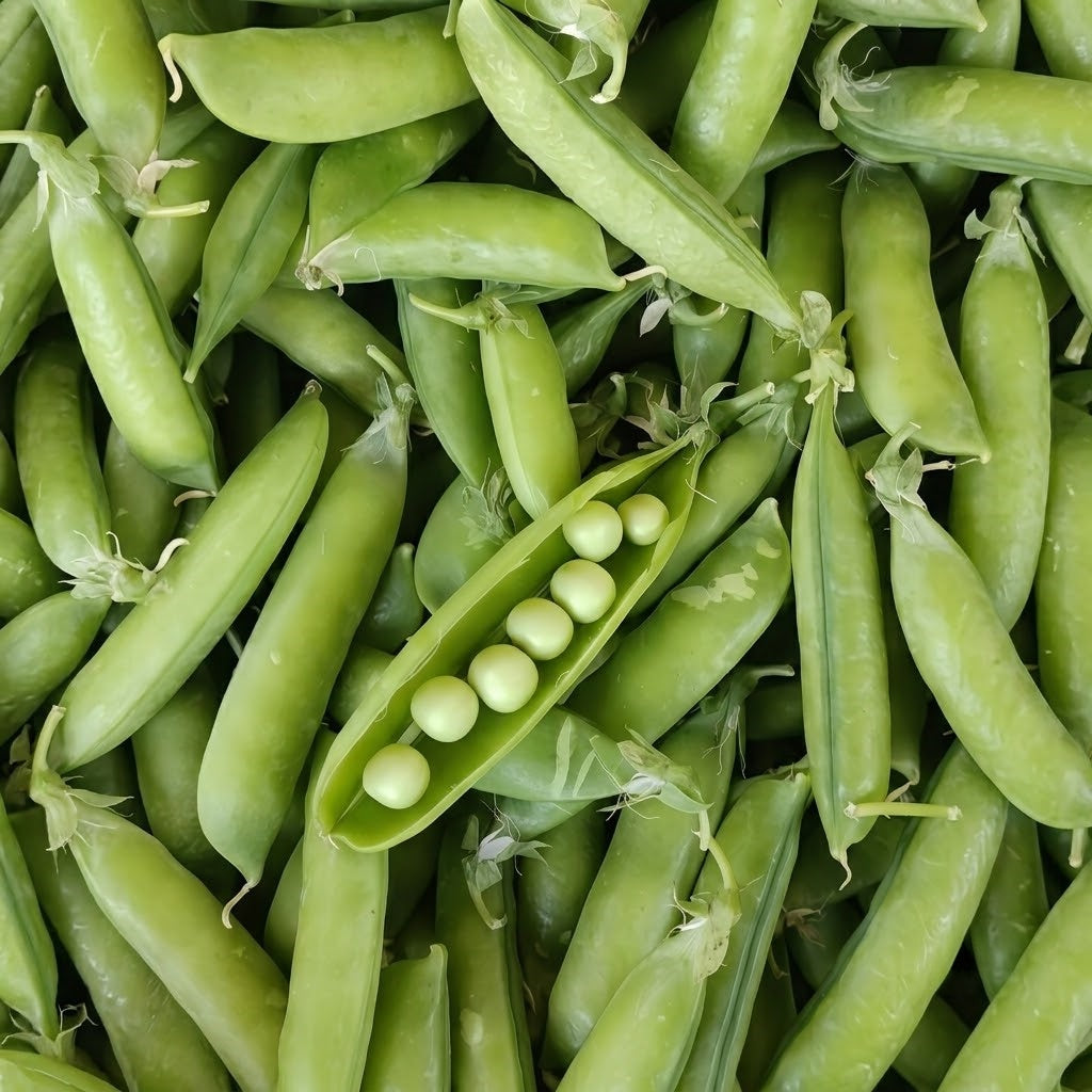 Maxigolt Pea Seeds