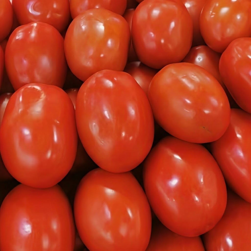 Amish Paste Organic Tomato Seeds - 300 Seeds