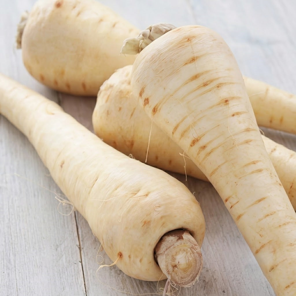 Dagger (F1) Parsnip  Seeds