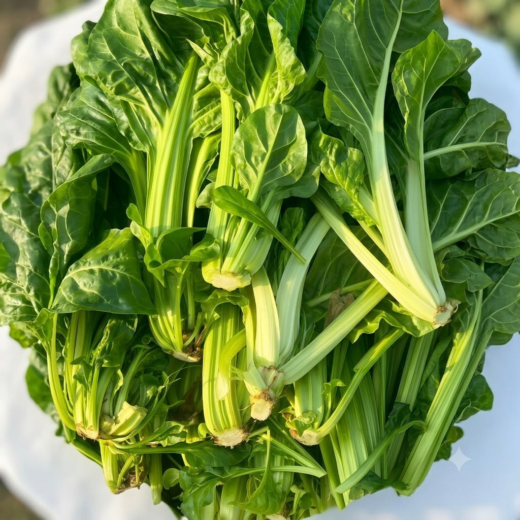 Fordhook Giant Organic Swiss Chard  Seeds