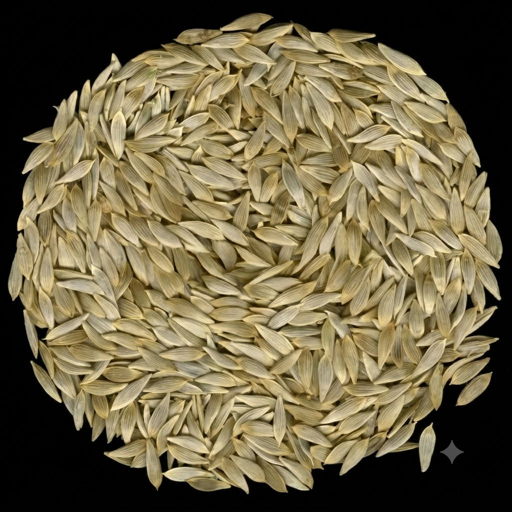 Gordini Pelleted Lettuce Seeds