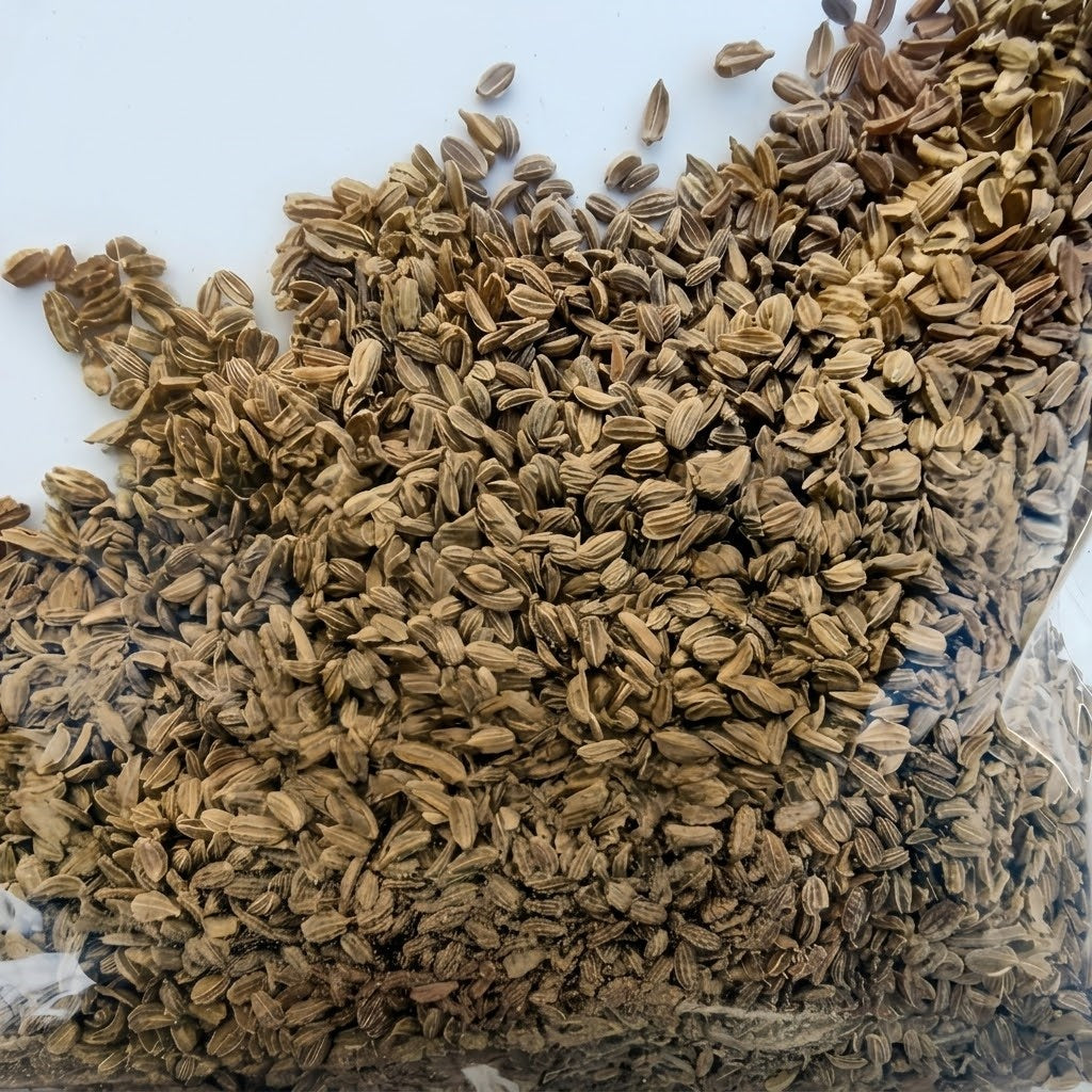 Bolero (F1) Carrot seeds