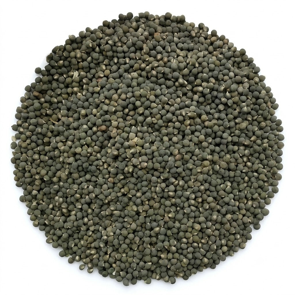 Clemson Spineless Organic Okra Seeds - 36 Seeds
