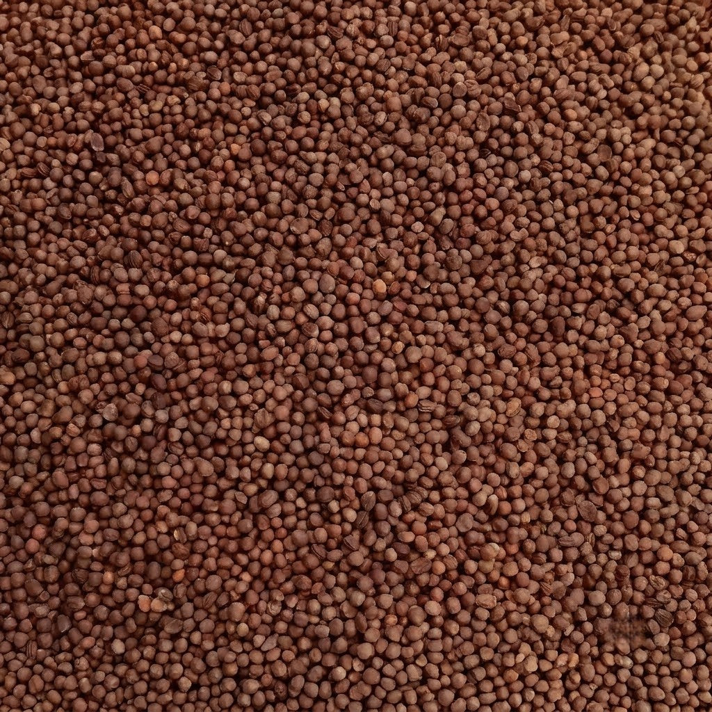 Amazing Cauliflower Seeds
