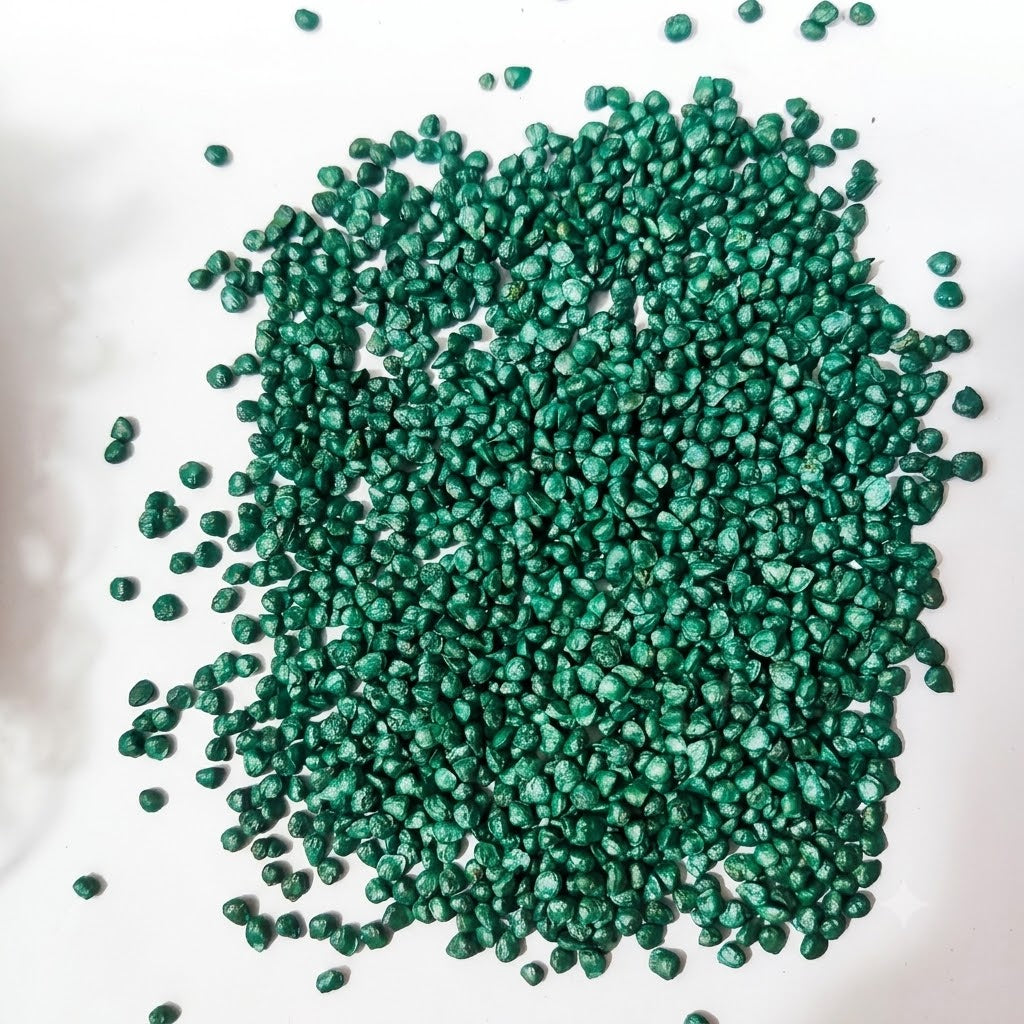 Flamingo Improved (F1) Spinach Seeds