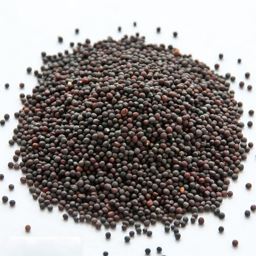 Purple Top White Globe Organic Turnip Seeds