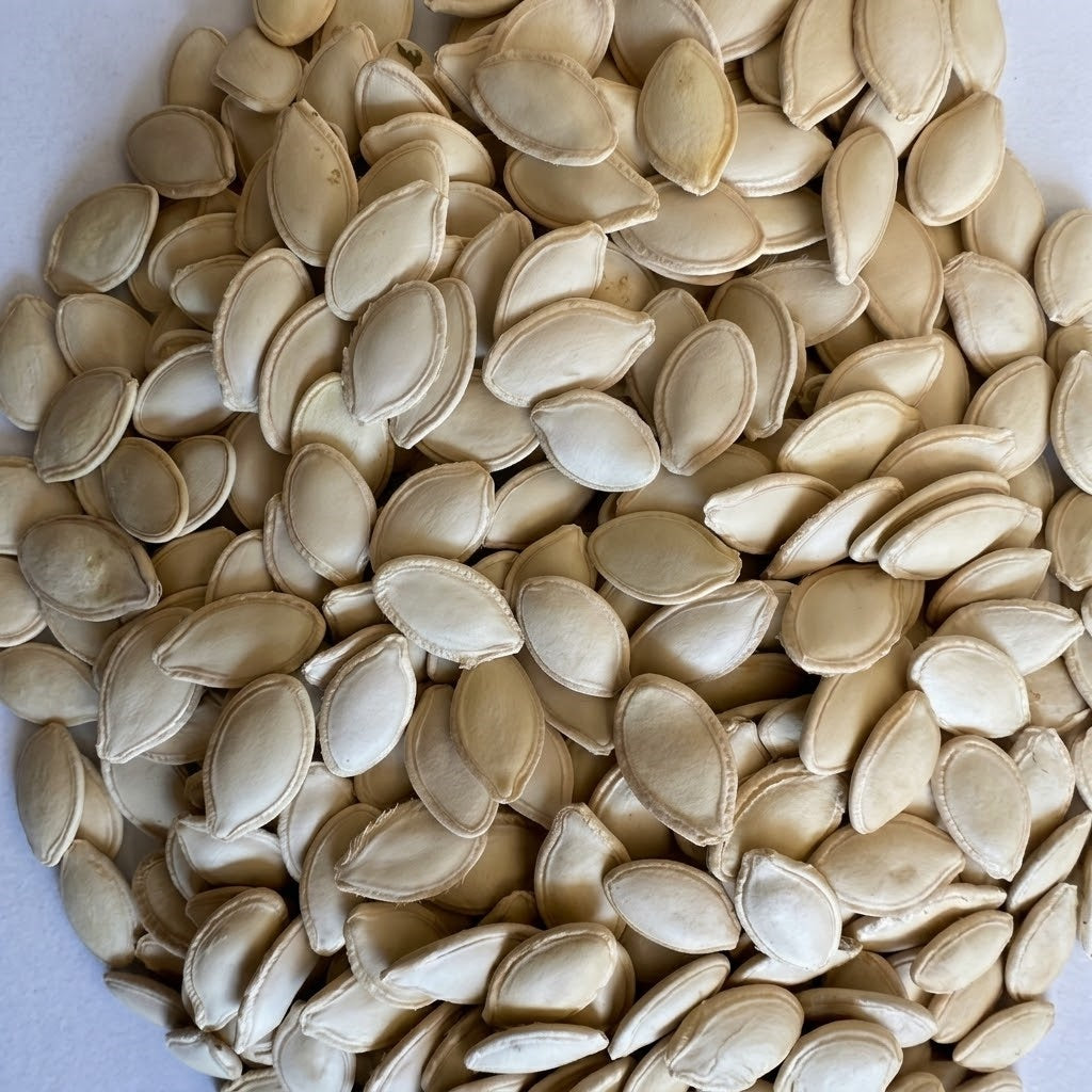 Block Party Organic (F1) Butternut Squash Seeds