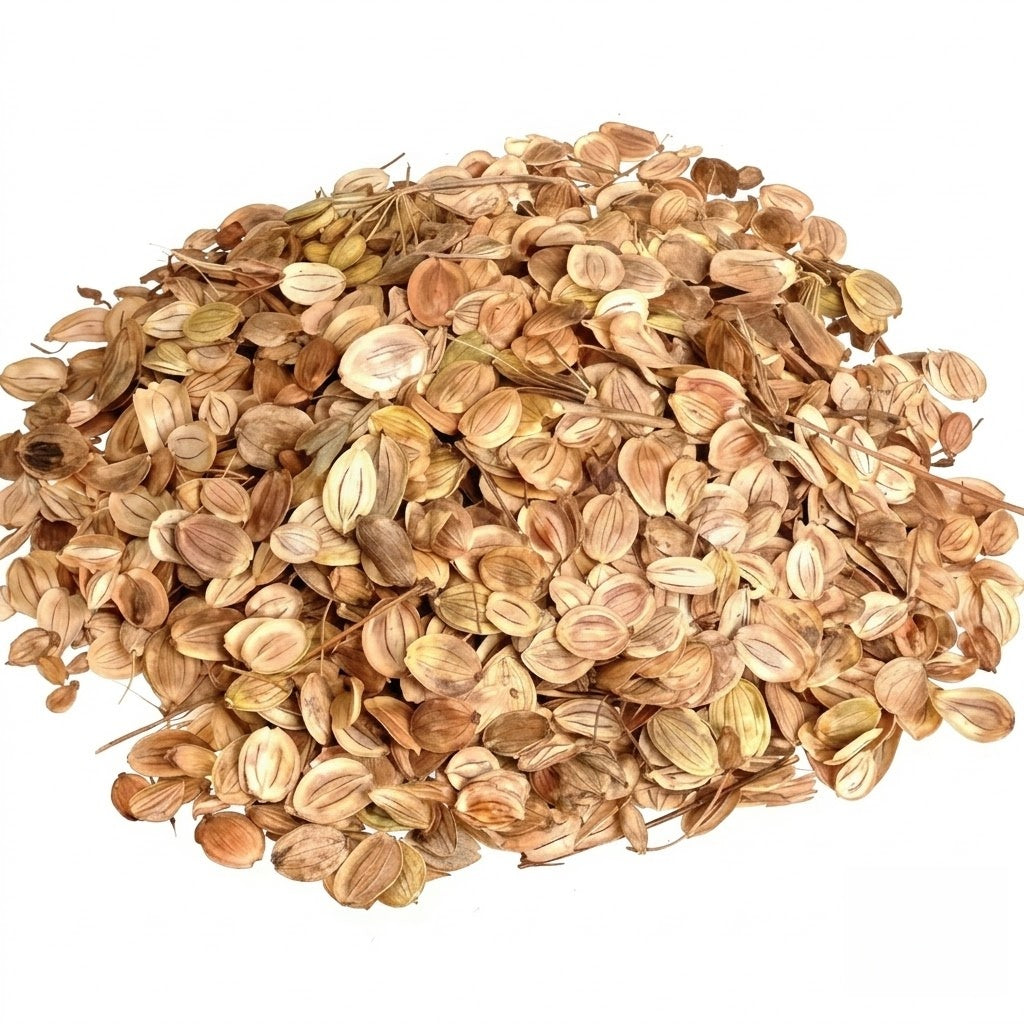 Dagger (F1) Parsnip  Seeds