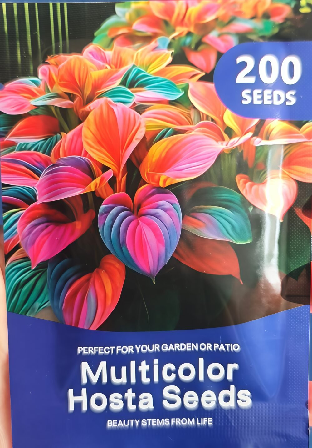 微信图片_20260627172951_副本 Mixed Hosta Seeds