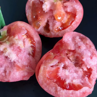 Firebird (F1) Tomato Seed