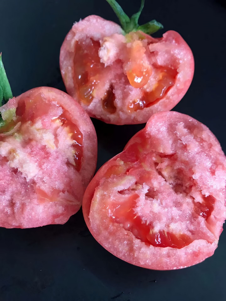 Firebird (F1) Tomato Seed