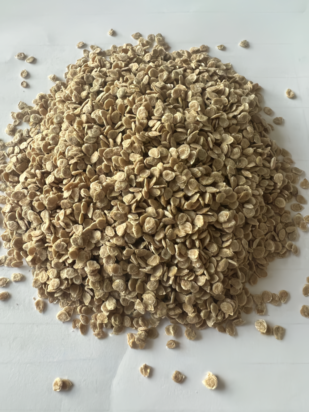 Firebird (F1) Tomato Seed