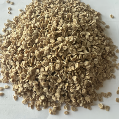 Firebird (F1) Tomato Seed