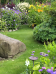 Butterfly and Hummingbird Flower Seed Mix - 24-Variety Blend