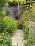 Butterfly and Hummingbird Flower Seed Mix - 24-Variety Blend