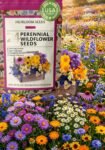 Butterfly and Hummingbird Flower Seed Mix - 24-Variety Blend